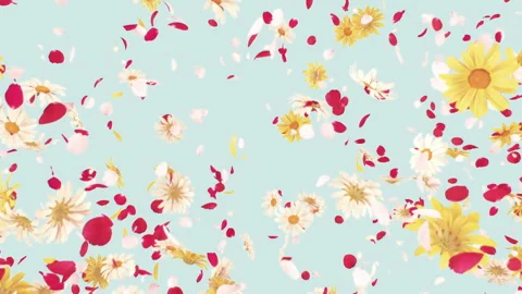 Flower Explosion Stock Footage 242164032