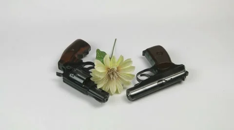 Flower falls to two pistols Stock Footage 10773518