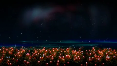 Flower fantasy Stock Footage 123817769