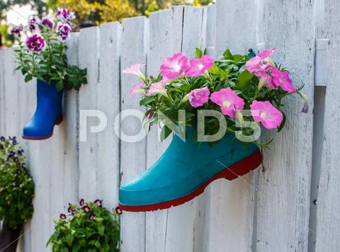 Flower fence Stock Photos
