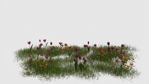 Flower Field blowing in the wind Loop Animation. Alpha Channel. Loop Animation Stock Footage 309846576