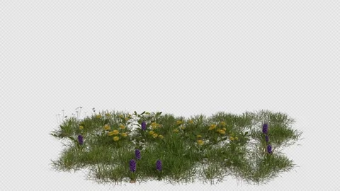 Flower Field blowing in the wind Loop Animation. Alpha Channel. Loop Animation Stock Footage 309846603