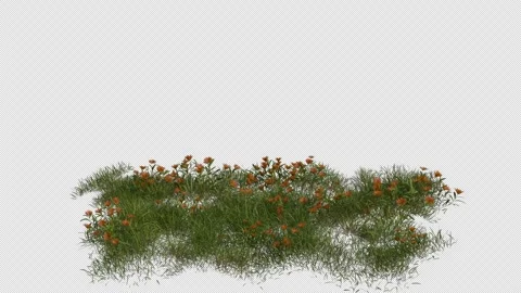 Flower Field blowing in the wind Loop Animation. Alpha Channel. Loop Animation Stock Footage 309846604
