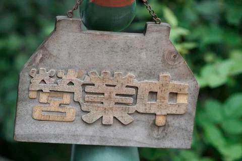 Flower field 스톡 사진