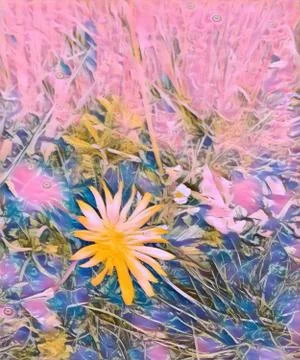 Flower-Field Stock Photos
