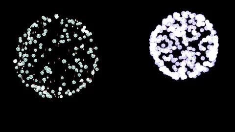 Flower Firework with Alpha transparent Stock Footage 103302616