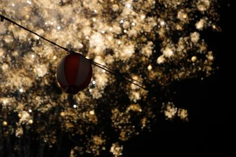 Flower firework in Japan Stock Photos