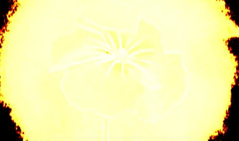 Flower in the flame Illustrazione stock