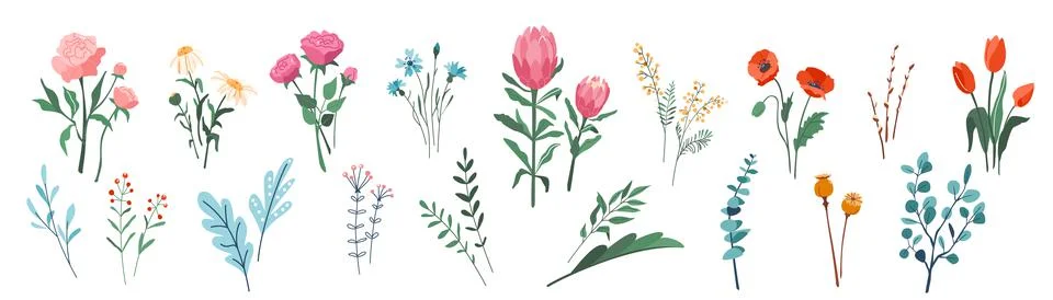 Flower floral pattern vector illustration. Bloom bouquet with leaves and twigs Illustrazione stock