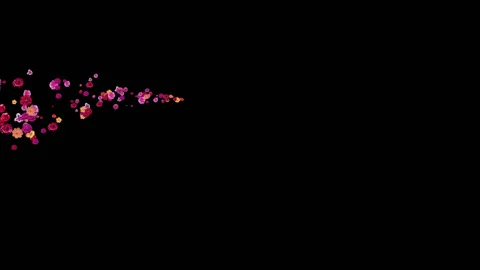 Flower fly Видео 91383775