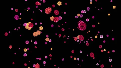 Flower fly Видео 91383878