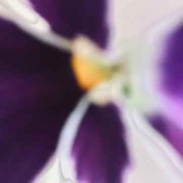 Flower Fon (first version) Foto stock