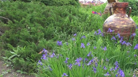 Flower Vídeos de archivo 8763179