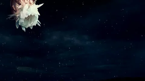 Flower Stock-Footage 12394439