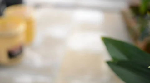 Flower 库存影片 27456568