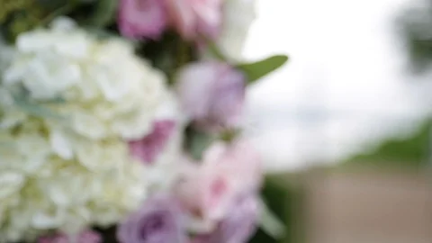 Flower Stock Footage 105393183