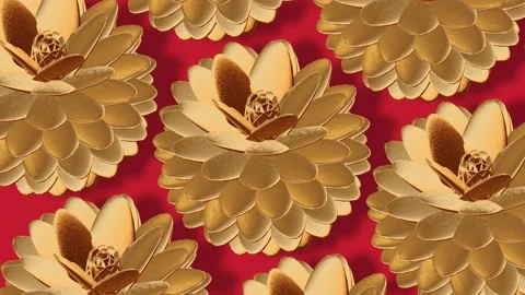 Flower 库存影片 170623201