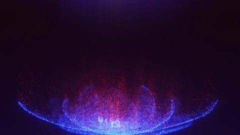 Flower Stock-Footage 217262664