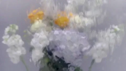 Flower Stock-Footage 220610931