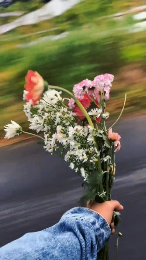 Flower Stock Footage 242815369