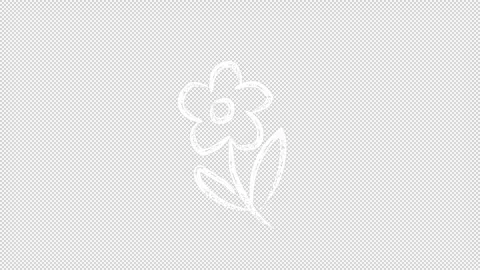 Flower Stock Footage 276879712