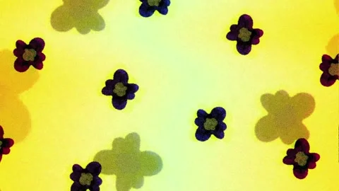 Flower Stock Footage 334902919