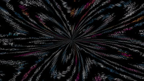 Flower Stock Footage 335732590