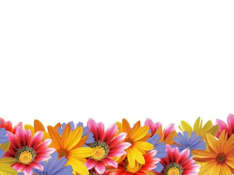 Flower frame 2 Stock Illustration