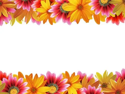 Flower frame  3 Stock Illustration