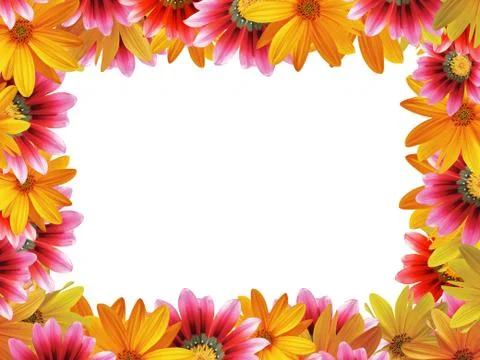Flower frame  4 Stock Photos