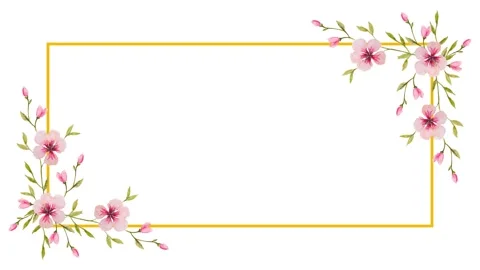 Flower Frame Appearance Animation Stock Footage 328015484
