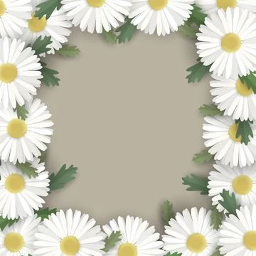 Flower frame with daisies on beige background. Stock Illustration