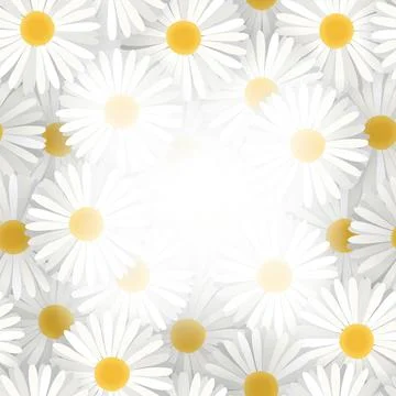 Flower frame with daisies on beige background. Stock Illustration