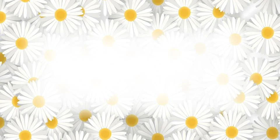 Flower frame with daisies on beige background. Stock Illustration