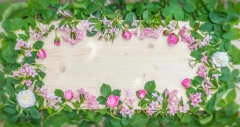 A flower frame with empty space Stock Photos