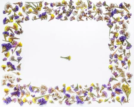Flower frame or border of dried flowers on a white background. Background for Stock Photos