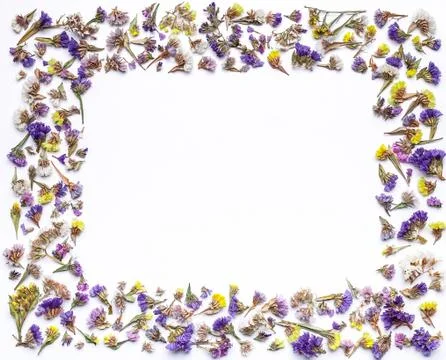 Flower frame or border of dried flowers on a white background. Background for Foto stock