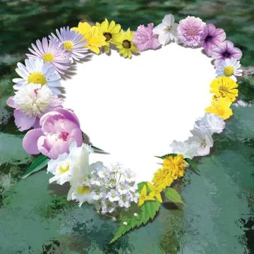 Flower frame Stock Photos