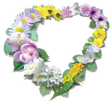 Flower frame Stock Photos