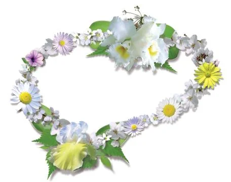 Flower frame Stock Photos