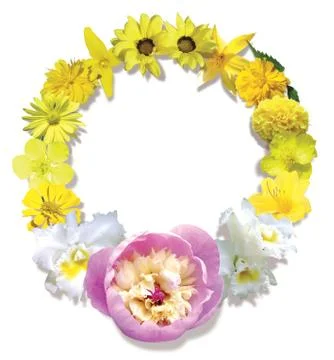 Flower frame Stock Photos