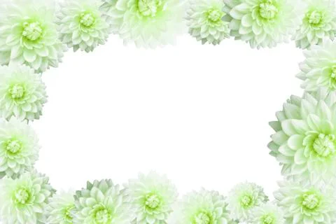 Flower Frame Stock Photos