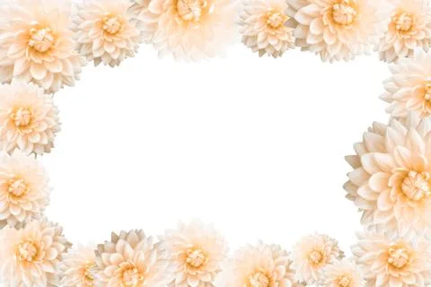 Flower Frame Foto stock