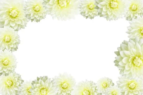 Flower Frame Foto stock