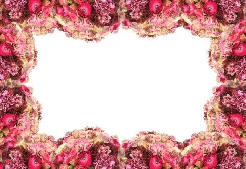 Flower frame Stock Photos