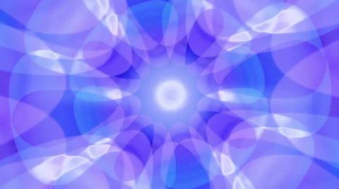 Flower Frenzy Loop Stock Footage 51848634