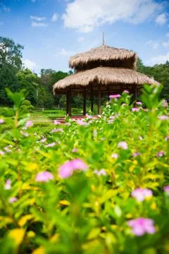 Flower in front of pavilion Stock Photos