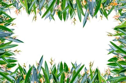 Flower full frame Stock Illustration