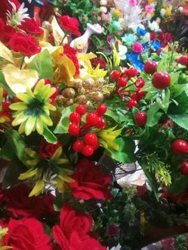 The flower gallery Stock Photos
