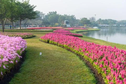Flower garden background Foto stock